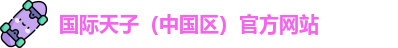 天子国际